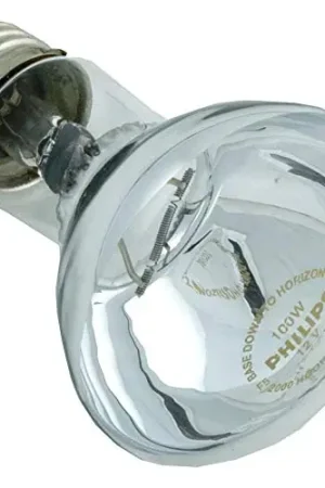 Hayward SPX0550Z4 Replacement Bulb 12v 100w Astrolite II Grab Now