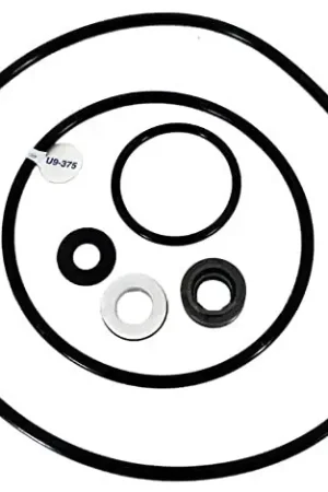 Pentair PP4000 Seal Gasket Replacement Kit Sta-Rite Pool and Spa Pump Best Seller