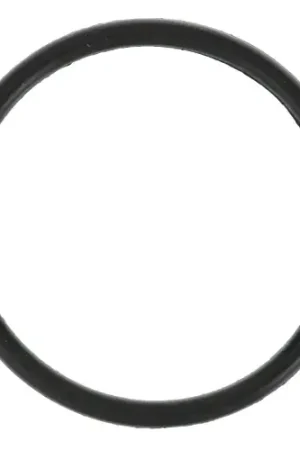 Discount O-RING WASH ARM (2 OD) 67500-00019 for Hobart HOB67500-00019