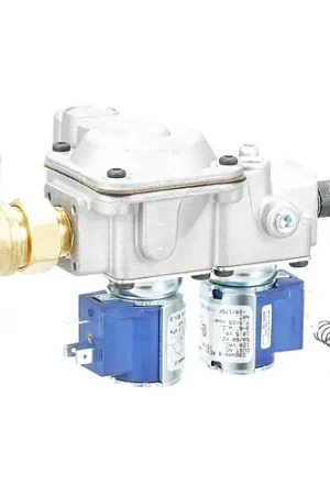 Express Delivery DUAL SOLENOID VALVE 120V (1/2 FPT) 153109 for Duke DUK153109