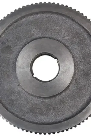 Worm Gear 8 Diameter 1-1/4 Thick 1-5/8 ID for Groen 012023 Order Now
