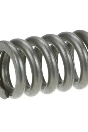 LOCKING PIN SPRING for Henny Penny 16165 Get Yours