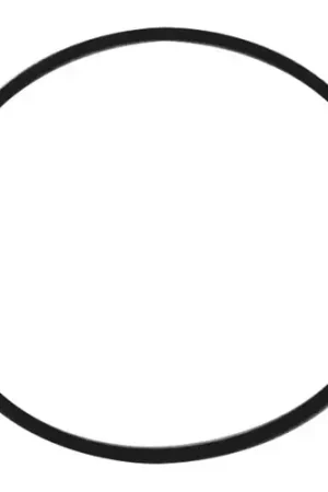 Exclusive Offer O-RING SANISERVE DOOR for Saniserv 58911