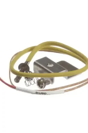 Shop Now THERMOCOUPLE KIT ESDZ-1200 for Roundup - AJ Antunes