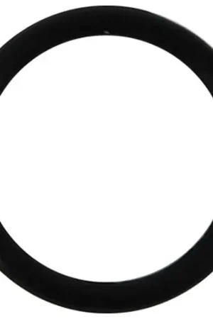 Cheap O-RING 1.6 for Champion 108443
