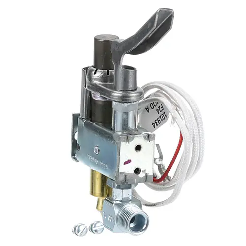 Buy Online Pilot Assembly Natural Gas 810-2071 for Frymaster 810-2071