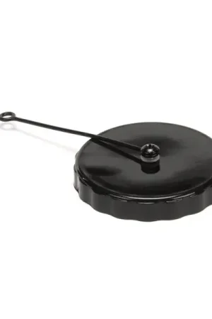 CAP LID for Curtis WC-37387 Hot Picks