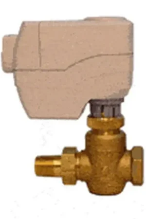 Budget Siemens 262-02009 Globe Valve Assembly 2 Way 1/2 in.