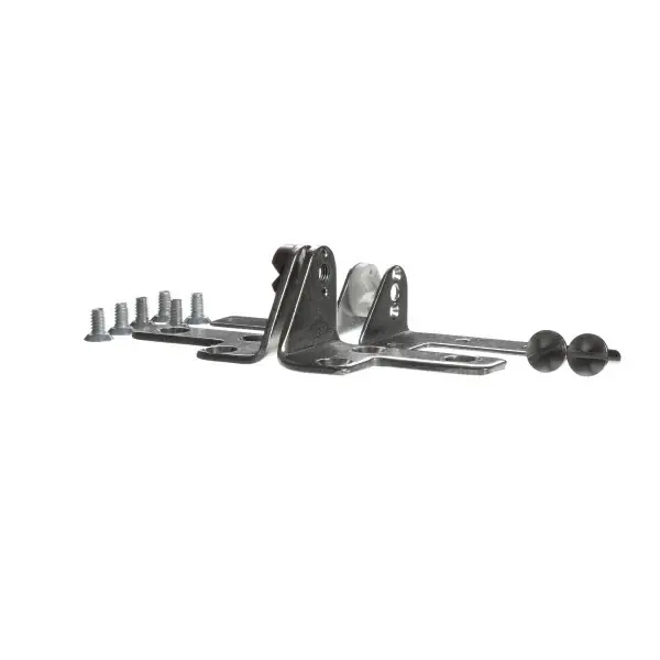 Save Now RH GROUP HINGE ASM for Perlick PE66264R