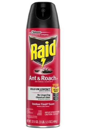 Popular Raid 669798 Ant and Roach Killer 17.5 oz (Case of 12)
