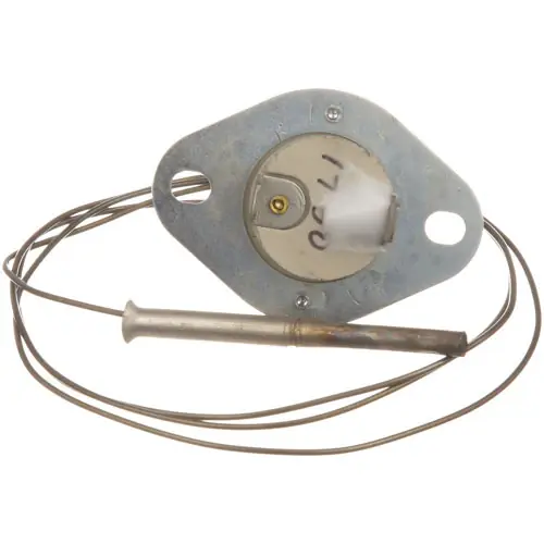FLAME SWITCH for Hobart 713933 Professional Grade