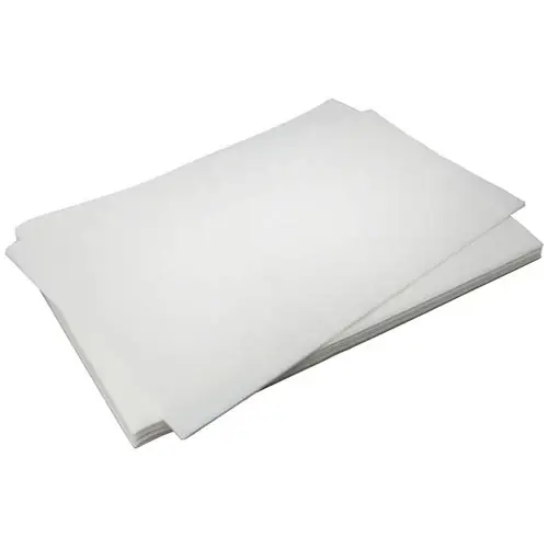 FILTER SHEETS 100PK FM8030153 for Frymaster FM803-0153 Cheap