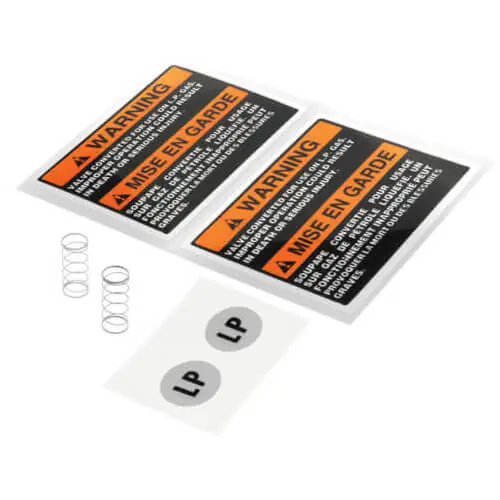 Rheem 60-21193-06 Gas Valve Spring Kit Sale