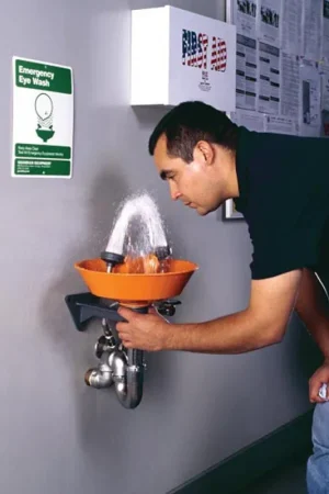 Holiday Sale Guardian Equipment G1814P GS-Plus Wall Mount Eyewash ABS Plastic Bowl