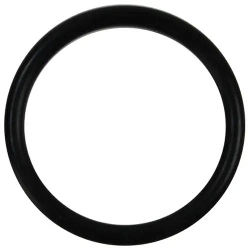 Special Offer O-Ring for Champion 112257