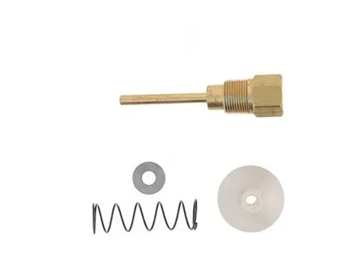 Lochinvar 100163257 Bypass Assembly for Pool Heaters Price Drop