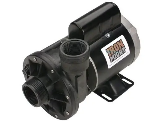 Best Choice Waterway Plastics 3J10070-1E Iron Might Pump 230 Volt