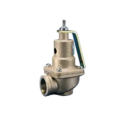 Exclusive Offer Kunkle Valve 0537-G01-HM0050 Steam Relief Valve 1.5x2 inch 50# 5107pph