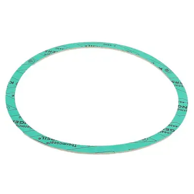 Armstrong Fluid Technology 426401-002 Gasket Nitrile 6 Inch Replacement 426401-002 Professional Grade